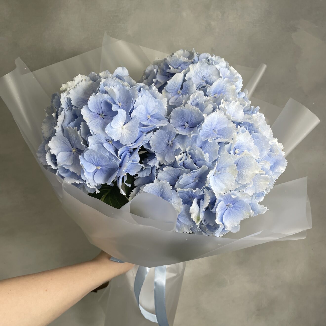 Нежность океана