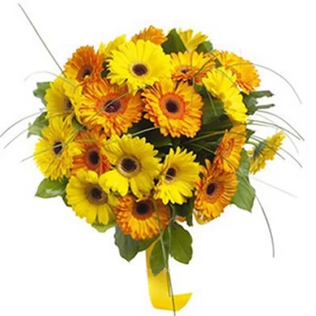 Радость весны