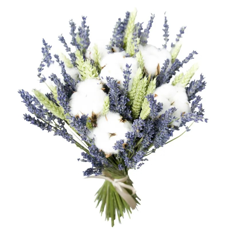 Облако нежности